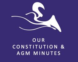 Constitution & AGM